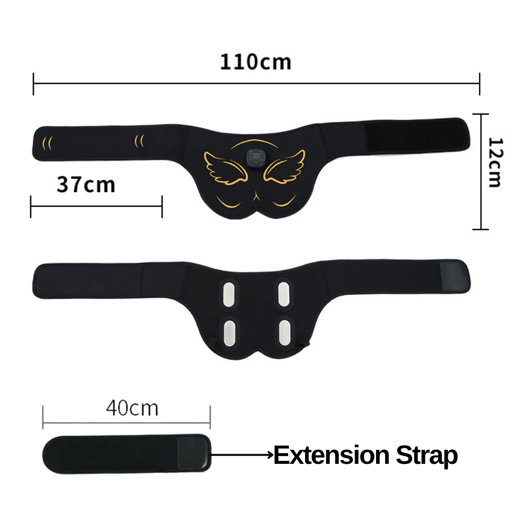Belt and strap dimensions diagram with extension strap